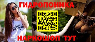 гидра Малгобек