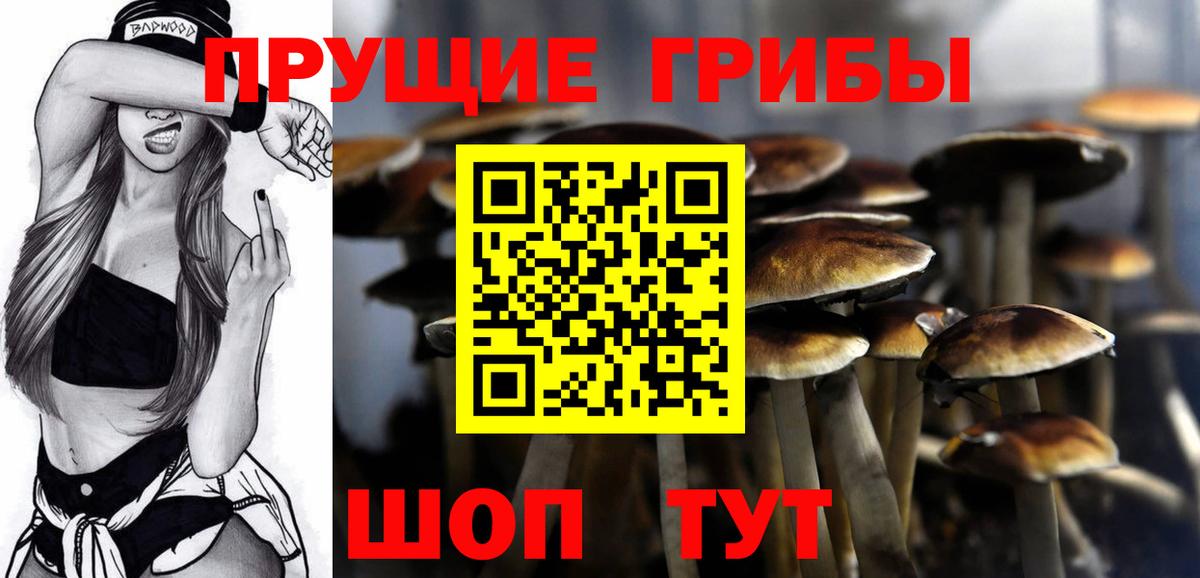 Галлюциногенные грибы ЛСД Татарск